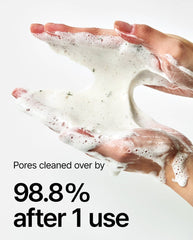 ANUA HEARTLEAF QUERCETINOL PORE DEEP CLEANSING FOAM