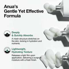 Anua Heartleaf Centella Red Spot Cream 30g